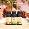 Hỏa Tốc Tinh Dầu Nguyên Chất ESKY Aroma Garden Đuổi Muỗi Giảm Stress 3x10ml - 160.900đ 2