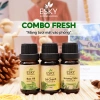 Hỏa Tốc Tinh Dầu Nguyên Chất ESKY Aroma Garden Đuổi Muỗi Giảm Stress 3x10ml - 160.900đ 11