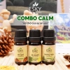 Hỏa Tốc Tinh Dầu Nguyên Chất ESKY Aroma Garden Đuổi Muỗi Giảm Stress 3x10ml - 160.900đ 12