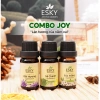 Hỏa Tốc Tinh Dầu Nguyên Chất ESKY Aroma Garden Đuổi Muỗi Giảm Stress 3x10ml - 160.900đ 13