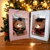 HoảTốcHCM Gấu bông tốt nghiệp 30cm Teddy cử nhân dễ thương, quà tặng thiệp, chỉ 44.900₫ 6