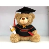 HoảTốcHCM Gấu bông tốt nghiệp 30cm Teddy cử nhân dễ thương, quà tặng thiệp, chỉ 44.900₫ 9