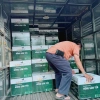 Hồng Sâm Hàn Quốc 6 Năm Tuổi Tổ Yến Lamnest - Tăng Cường Sức Khỏe, Giá 279.000đ 6