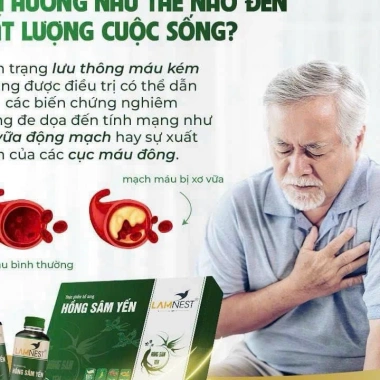 Hồng Sâm Hàn Quốc 6 Năm Tuổi Tổ Yến Lamnest - Tăng Cường Sức Khỏe, Giá 279.000đ