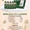 Hồng Sâm Hàn Quốc 6 Năm Tuổi Tổ Yến Lamnest - Tăng Cường Sức Khỏe, Giá 279.000đ 9