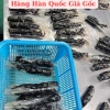 Hồng Sâm Hàn Quốc Nguyên Củ 6 Năm Tuổi 500g Tẩm Mật Ong Bồi Bổ Nguyên Khí Giá 890k 4