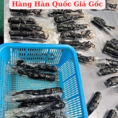 Hồng Sâm Hàn Quốc Nguyên Củ 6 Năm Tuổi 500g Tẩm Mật Ong Bồi Bổ Nguyên Khí Giá 890k