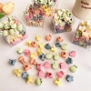 Hộp 100 kẹp tóc mini pastel dễ thương - Giá chỉ 27.900đ, giảm đến 33.759đ 3