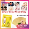Hộp 100 miếng dán giảm đau gừng và vai PK Mugwort - Giảm đau nhanh, giá 24.000