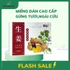 Hộp 20 miếng dán thảo dược Gừng Ngải Cứu Đỏ - Giảm đau xương khớp, vai gáy, đầu gối, 12.000đ