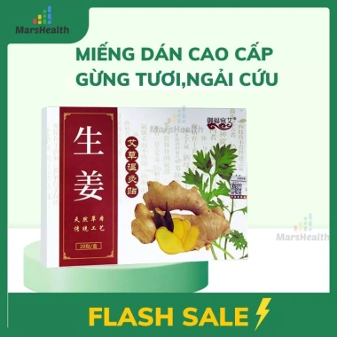 Hộp 20 miếng dán thảo dược Gừng Ngải Cứu Đỏ - Giảm đau xương khớp, vai gáy, đầu gối, 12.000đ