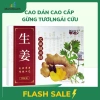 Hộp 20 miếng dán thảo dược Gừng Ngải Cứu Đỏ - Giảm đau xương khớp, vai gáy, đầu gối, 12.000đ 2