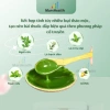 Hộp 20 miếng dán thảo dược Gừng Ngải Cứu Đỏ - Giảm đau xương khớp, vai gáy, đầu gối, 12.000đ 5