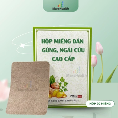 Hộp 20 miếng dán thảo dược Gừng Ngải giảm đau lưng, vai gáy nhanh chóng, 8.000đ