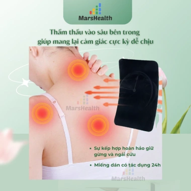 Hộp 20 miếng dán thảo dược Gừng Ngải giảm đau lưng, vai gáy nhanh chóng, 8.000đ