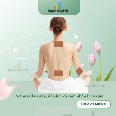 Hộp 20 miếng dán thảo dược Gừng Ngải giảm đau lưng, vai gáy nhanh chóng, 8.000đ 5 Hộp 20 miếng dán thảo dược Gừng Ngải giảm đau lưng, vai gáy nhanh chóng, 8.000đ 5