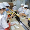 Hộp 3 chai Nước Mắm Cát Hải Cá Quẩn - Hương vị truyền thống, giảm giá 20% chỉ 150.000 VND 3