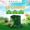 Hộp 30 túi lọc cà gai leo trà - Giải độc, hỗ trợ tiêu hoá cho người uống bia rượu - 53.000₫
