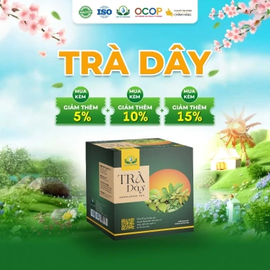 Hộp 30 Túi Lọc Trà Dây Thiên Nhiên - Giá Tiết Kiệm 45.000₫, Thơm Ngon, Tiện Lợi