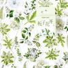 Hộp 45 Sticker Lá cây xanh cho Bullet Journal, lịch và album - Dễ thương, giá 22.800 VND 7