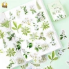 Hộp 46 hình dán hoa trà trắng lá xanh vintage – Dán sổ bullet journal, scrapbook, thư thiệp, giá 25.000 VND 2