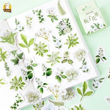 Hộp 46 hình dán hoa trà trắng lá xanh vintage – Dán sổ bullet journal, scrapbook, thư thiệp, giá 25.000 VND