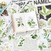 Hộp 46 hình dán hoa trà trắng lá xanh vintage – Dán sổ bullet journal, scrapbook, thư thiệp, giá 25.000 VND 3