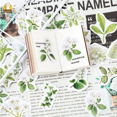 Hộp 46 hình dán hoa trà trắng lá xanh vintage – Dán sổ bullet journal, scrapbook, thư thiệp, giá 25.000 VND 3 Hộp 46 hình dán hoa trà trắng lá xanh vintage – Dán sổ bullet journal, scrapbook, thư thiệp, giá 25.000 VND 3