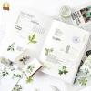 Hộp 46 hình dán hoa trà trắng lá xanh vintage – Dán sổ bullet journal, scrapbook, thư thiệp, giá 25.000 VND 4