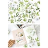 Hộp 46 hình dán hoa trà trắng lá xanh vintage – Dán sổ bullet journal, scrapbook, thư thiệp, giá 25.000 VND 7