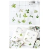 Hộp 46 hình dán hoa trà trắng lá xanh vintage – Dán sổ bullet journal, scrapbook, thư thiệp, giá 25.000 VND 8