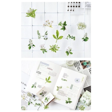 Hộp 46 hình dán hoa trà trắng lá xanh vintage – Dán sổ bullet journal, scrapbook, thư thiệp, giá 25.000 VND 8 Hộp 46 hình dán hoa trà trắng lá xanh vintage – Dán sổ bullet journal, scrapbook, thư thiệp, giá 25.000 VND 8