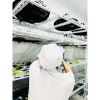 Hộp 6 Hũ Yến Chưng Dewi's Nest Nguyên Chất Quà Sức Khỏe Sang Trọng, Tinh Tế 2.025 8