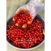 Hộp 600g Chùm ruột rim xốc muối ớt - Đặc sản miền Tây, ngọt chua cay, giảm còn 70.000₫ 5