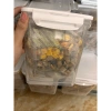 Hộp 660g Lishi mix đông khô 10 vị thịt sấy - Thức ăn dinh dưỡng cho mèo cún, giảm giá 94.000đ 3