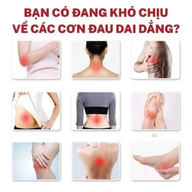 Hộp Cao Dán Ngải Cứu Combo 5 Hộp Giảm Đau Mỏi Xương Khớp Cổ Vai Gáy Giá 18.500₫