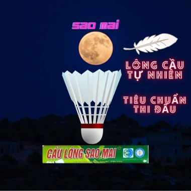 Hộp Cầu Lông 10 Quả Chuyên Nghiệp 1 Quả 1 Trận - Vượt Trội, Hạng B, Sao Mai Chính Hãng