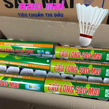 Hộp Cầu Lông 10 Quả Chuyên Nghiệp 1 Quả 1 Trận - Vượt Trội, Hạng B, Sao Mai Chính Hãng
