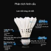 Hộp Cầu Lông 10 Quả Chuyên Nghiệp 1 Quả 1 Trận - Vượt Trội, Hạng B, Sao Mai Chính Hãng 3