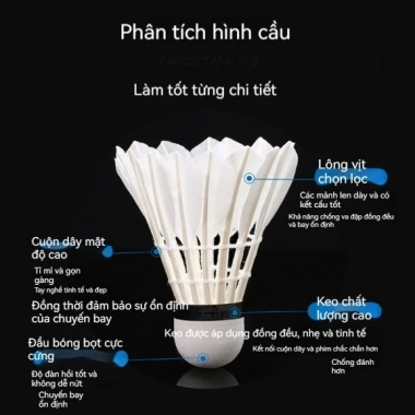 Hộp Cầu Lông 10 Quả Chuyên Nghiệp 1 Quả 1 Trận - Vượt Trội, Hạng B, Sao Mai Chính Hãng