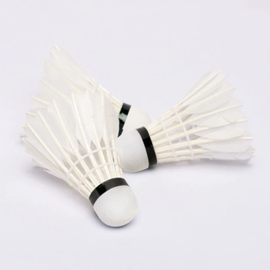 Hộp Cầu Lông 10 Quả Chuyên Nghiệp 1 Quả 1 Trận - Vượt Trội, Hạng B, Sao Mai Chính Hãng 5 Hộp Cầu Lông 10 Quả Chuyên Nghiệp 1 Quả 1 Trận - Vượt Trội, Hạng B, Sao Mai Chính Hãng 5