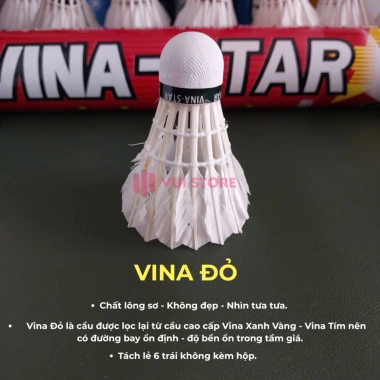 Hộp cầu lông VINA STAR cho người mới - Bền, chính hãng, tập luyện, giảm giá 56k 3