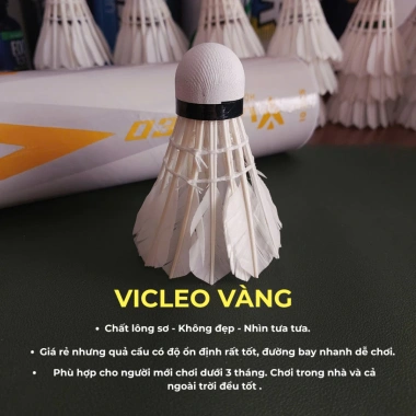 Hộp cầu lông VINA STAR cho người mới - Bền, chính hãng, tập luyện, giảm giá 56k 4