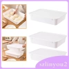 Hộp chống bột Pizza gia đình, khay chống dính có nắp, thực phẩm tươi, giá 292.600₫ 2