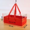 Hộp chữ nhật nắp mica kèm dây xách Đựng hoa quả quà tặng giá xưởng SX 35.000 3