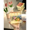 Hộp Đèn Tình Yêu Tráng Gương 12cm Quà Tặng Noel 8/3 Đèn Ngủ Cặp Đôi Pony 35k 2
