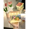 Hộp Đèn Tình Yêu Tráng Gương 12cm Quà Tặng Noel 8/3 Đèn Ngủ Cặp Đôi Pony 35k 8