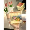 Hộp Đèn Tình Yêu Tráng Gương 12cm Quà Tặng Noel 8/3 Đèn Ngủ Cặp Đôi Pony 35k 10