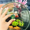 Hộp Đựng Bánh Kẹo Tết Nhiều Ngăn Sang Trọng - Khay Đựng Mứt, Hạt Dưa, Kẹo 2.025 4
