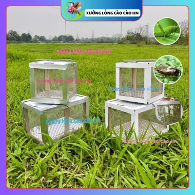 Hộp đựng dế và cào cào chim cảnh inox giá xưởng - chỉ 69.000 VNĐ, bền an toàn